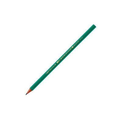 BIC LAPIZ EVOLUTION