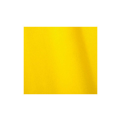 CANSON PAPEL PINOCHO A. LIMON REF: 15