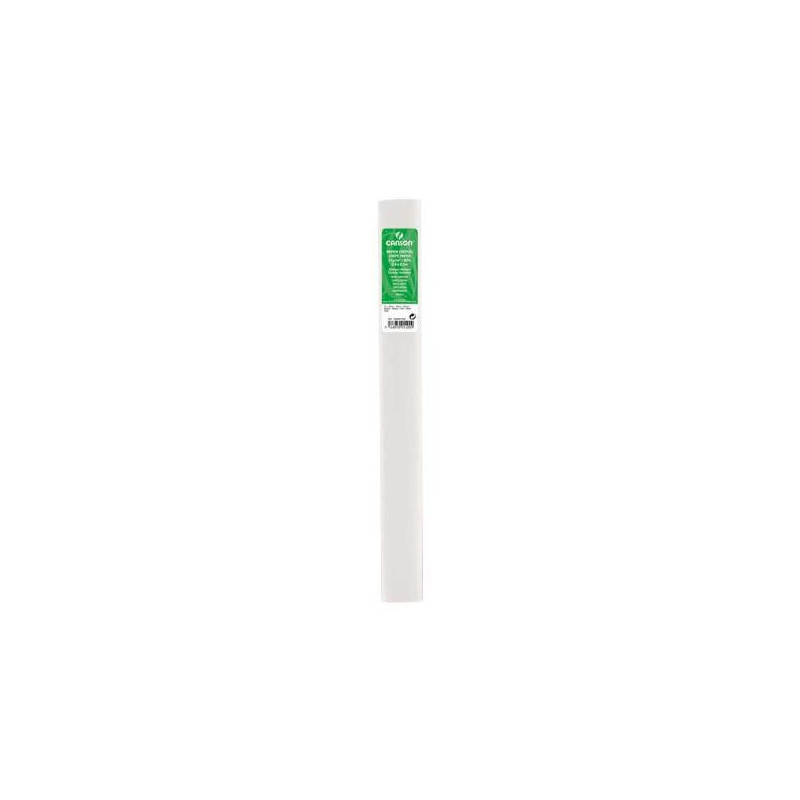 CANSON PAPEL PINOCHO BLANCO REF: 01