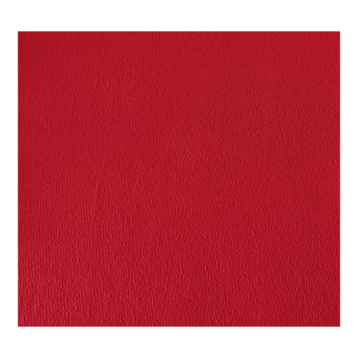 CANSON PAPEL PINOCHO ROJO VIVO REF: 06