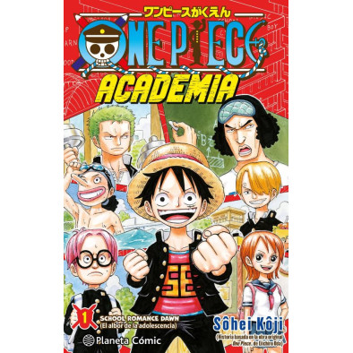 ONE PIECE ACADEMIA Nº 01